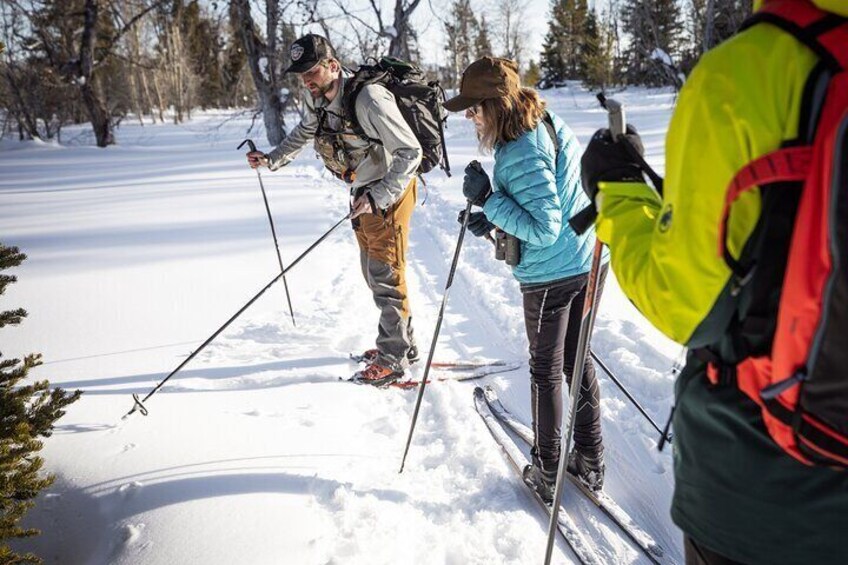 Private 4 Hour Beginner Cross Country Skiing in Grand Teton