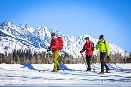 Private 4 Hour Beginner Cross Country Skiing in Grand Teton