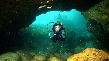 Full-Day Hen & Chicken Islands Dive Charter