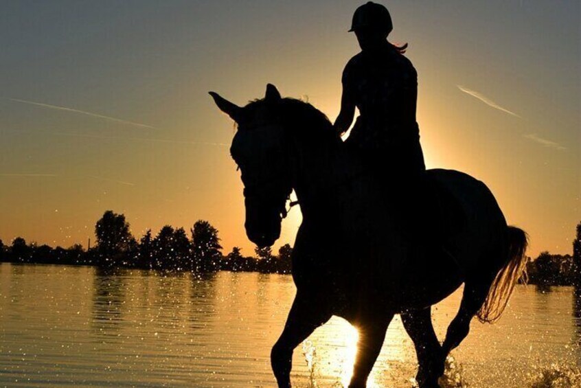 Horseback Ride Through Puerto Plata