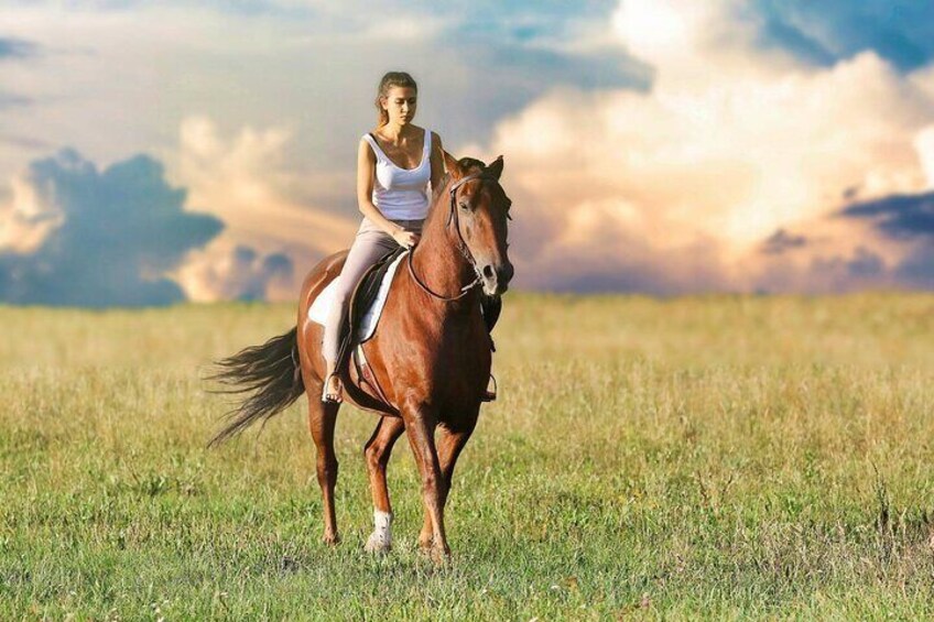 Horseback Ride Through Puerto Plata