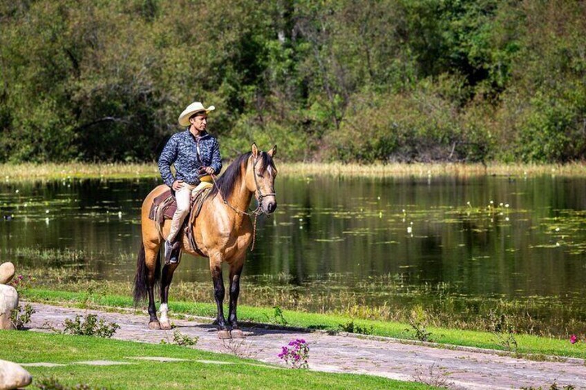 Horseback Ride Through Puerto Plata