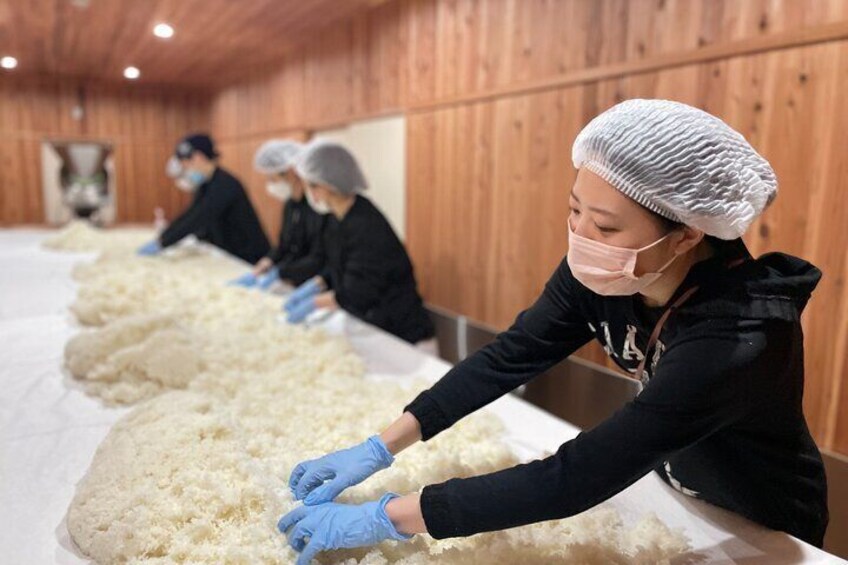 Be a Sake brewer for a Day!Study Abroad Sake at Amabuki sake brewery in Saga