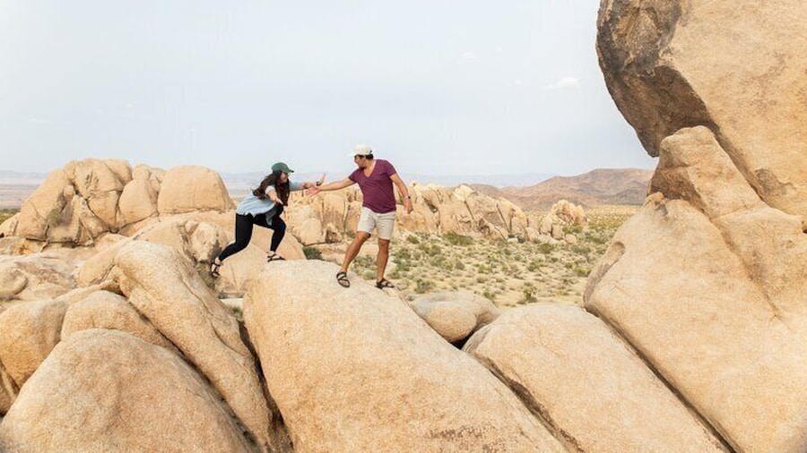 Full-Day Hiking Tour in Joshua Tree National Park