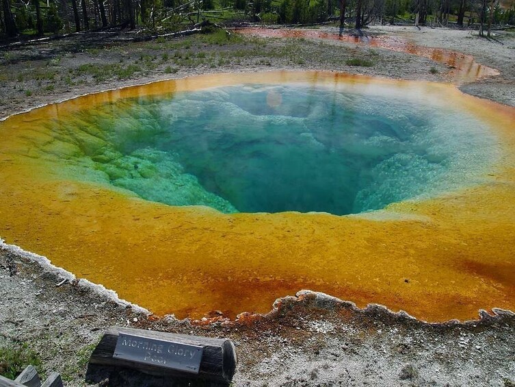 Yellowstone Self-Driving Audio Tour from East Entrance (Wyoming)