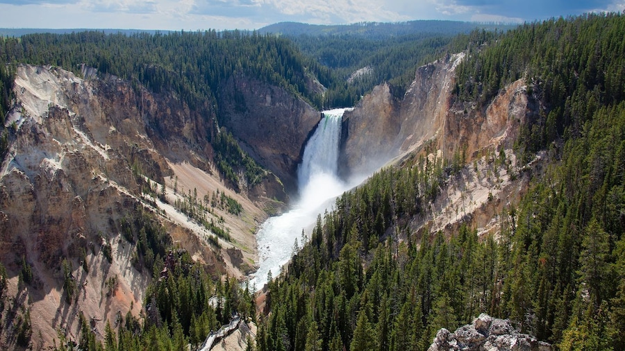 Yellowstone Self-Driving Audio Tour from East Entrance