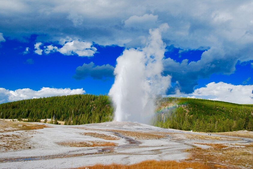 Yellowstone Self-Driving Audio Tour from East Entrance (Wyoming)