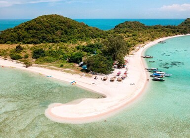 Koh Samui : Tour de l'île aux cochons en bateau rapide avec plongée en apné...