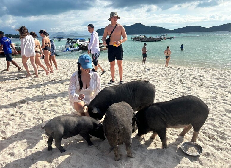 Picture 28 for Activity Koh Samui: Pig Island Tour by Speedboat with Snorkeling