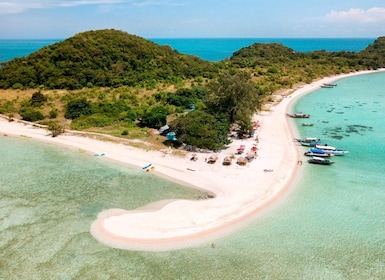 Koh Samui: Excursión a la Isla de los Cerdos en lancha rápida con snorkel