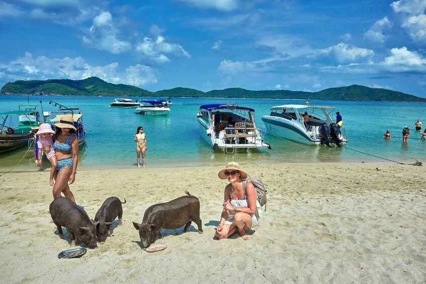 Picture 3 for Activity Koh Samui: Pig Island Tour by Speedboat with Snorkeling