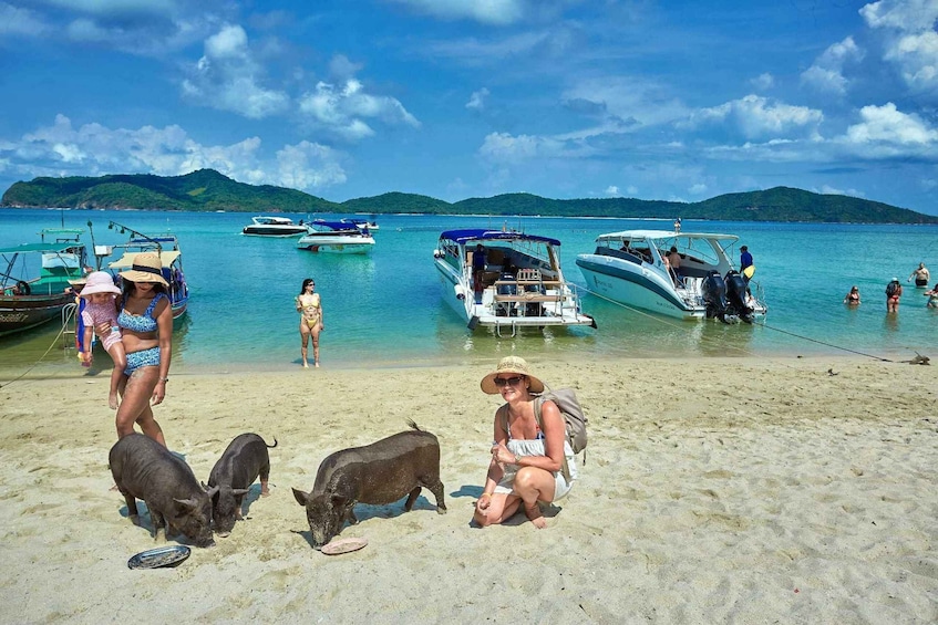 Picture 3 for Activity Koh Samui: Pig Island Tour by Speedboat with Snorkeling