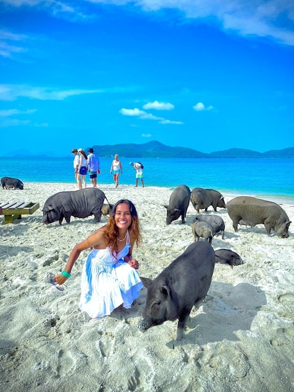 Picture 9 for Activity Koh Samui: Pig Island Tour by Speedboat with Snorkeling