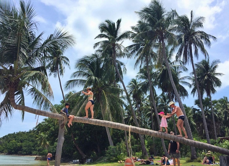 Picture 19 for Activity Koh Samui: Pig Island Tour by Speedboat with Snorkeling