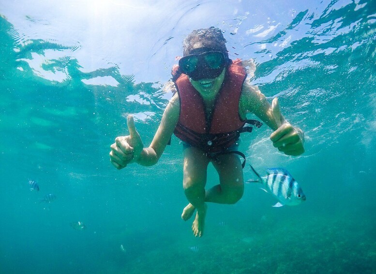 Picture 3 for Activity Koh Samui: Pig Island Tour by Speedboat with Snorkeling