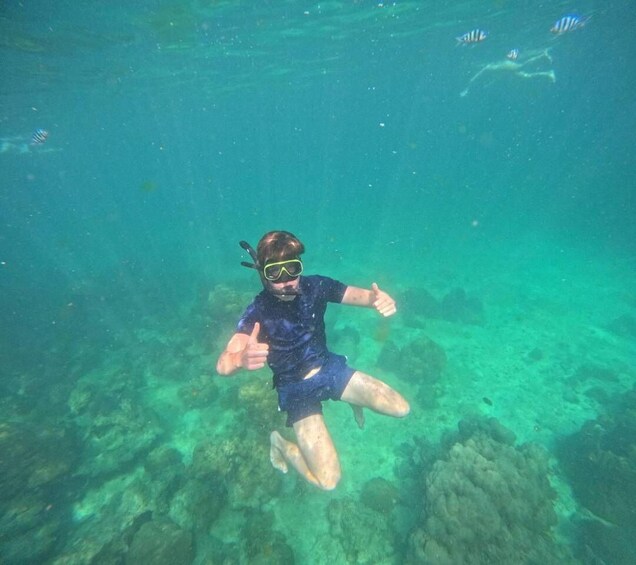Picture 22 for Activity Koh Samui: Pig Island Tour by Speedboat with Snorkeling