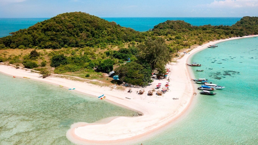 Koh Samui: Pig Island Tour by Speedboat with Snorkeling