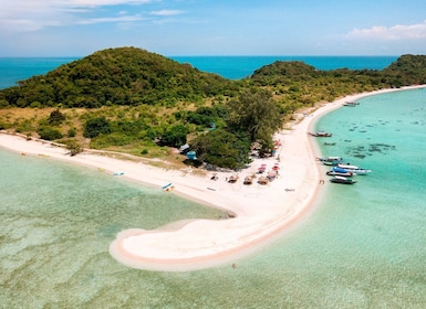 Koh Samui : Tour de l'île aux cochons en bateau rapide avec plongée en apné...