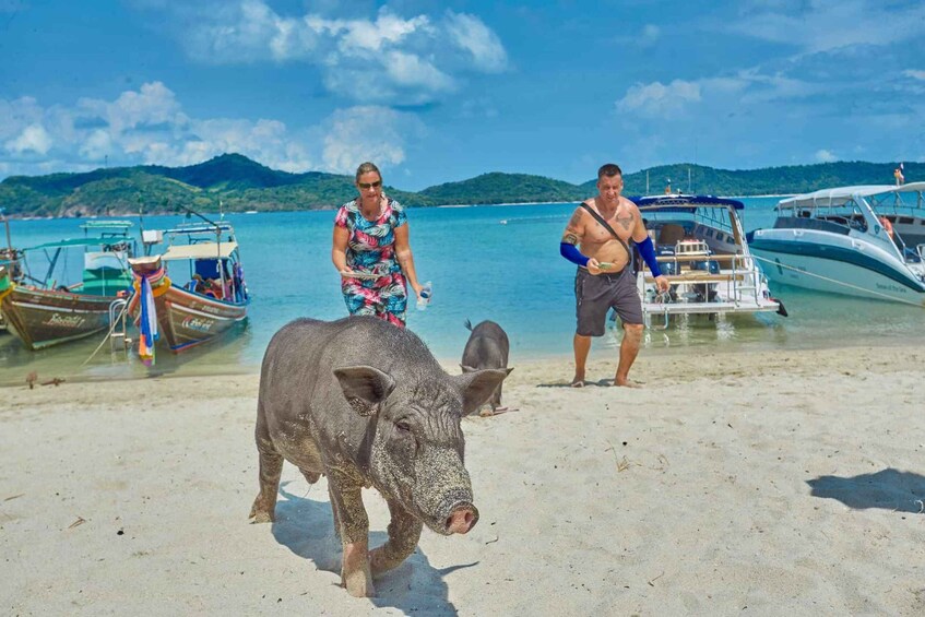 Picture 6 for Activity Koh Samui: Pig Island Tour by Speedboat with Snorkeling