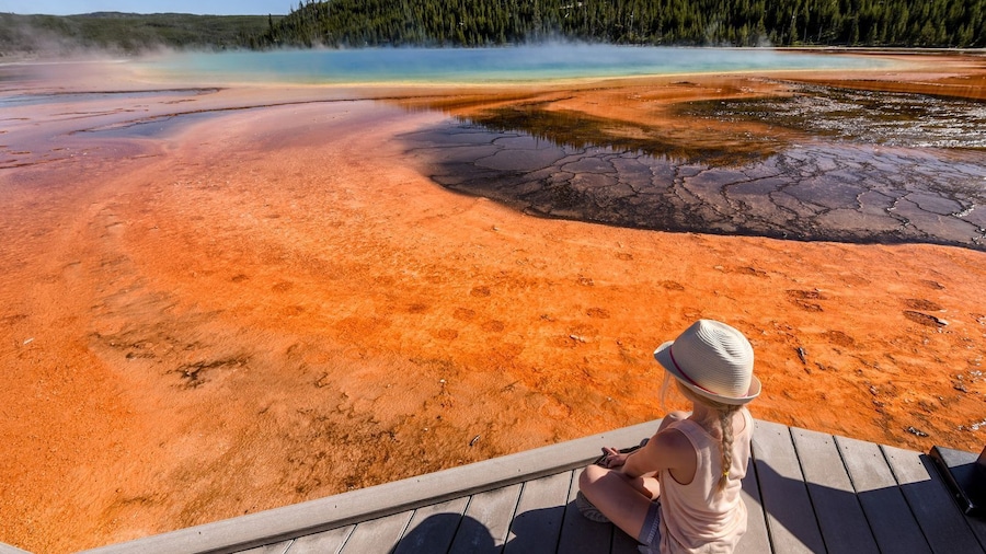 Yellowstone Self-Driving Audio Tour from West Entrance