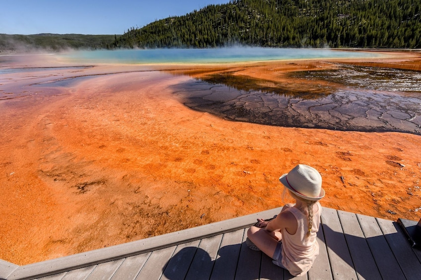 Yellowstone Self-Driving Audio Tour from West Entrance (Idaho)