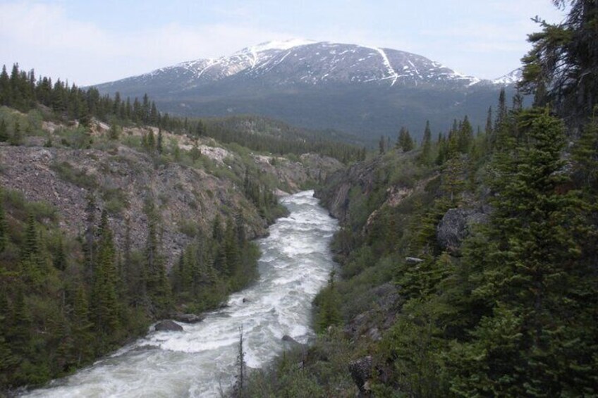 Rapids of the Tutshi River as seen from the bridge