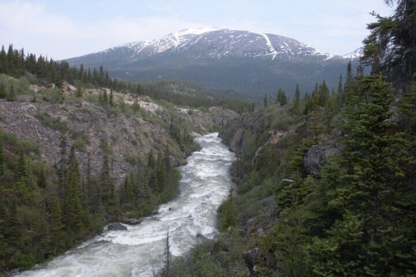 Rapids of the Tutshi River as seen from the bridge