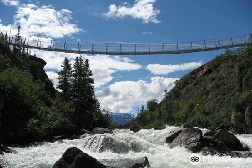Summit Experience & Yukon Suspension Bridge Tour
