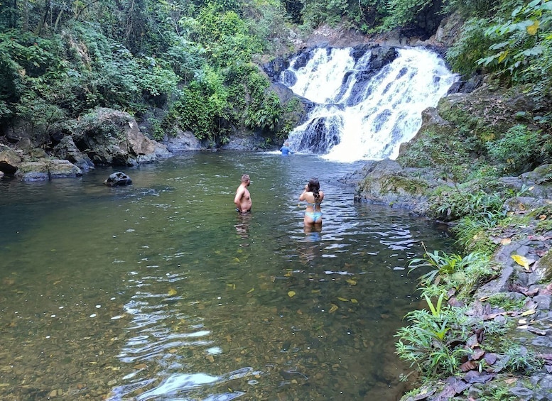 Picture 9 for Activity Panama: Chagres National Park & Embera Village Private Tour