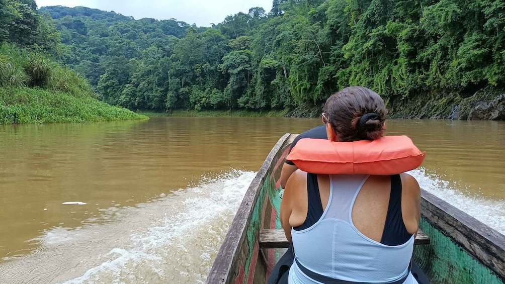 Picture 6 for Activity Panama: Chagres National Park & Embera Village Private Tour