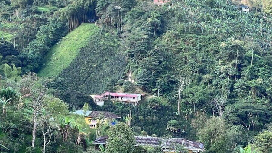 Private Visit to Organic and Craft Coffee Farm in Risaralda