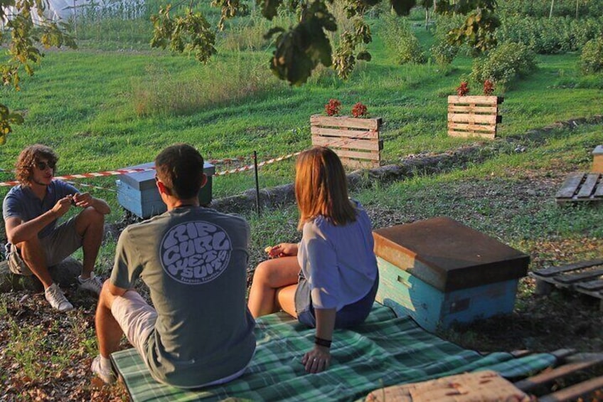 Beekeeping Farm Tour and Tasting Experience in Lazise