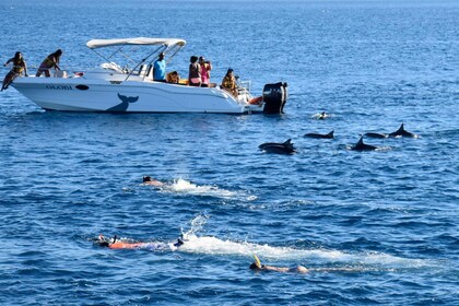 Excursión en lancha rápida a nado por el río Negro con delfines