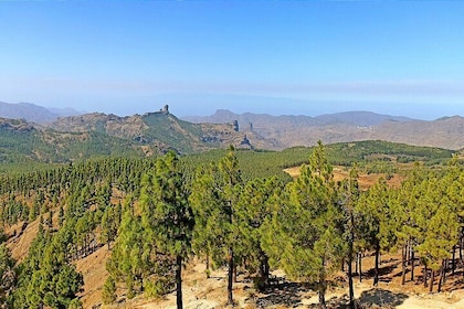 7-Hours Private Tour Volcanoes and Wine Region in the Canary Islands