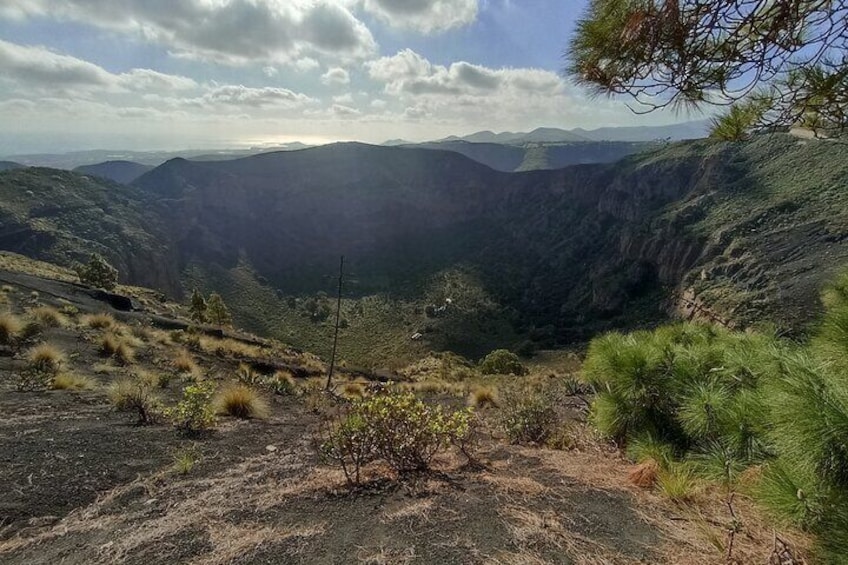 7-Hours Private Tour Volcanoes and Wine Region in the Canary Islands