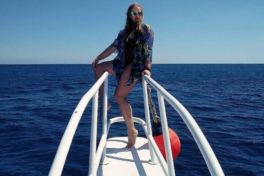 White Island Snorkeling Day Trip By Vip Boat from Sharm El-Sheikh