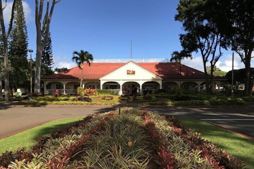 DOLE PLANTATION