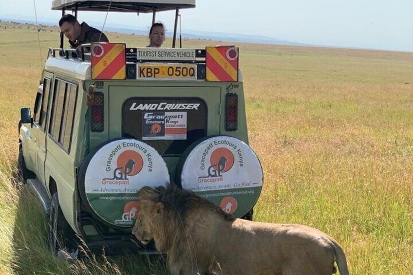 3 Days Masai Mara Camping Safari on 4X4 Land Cruiser