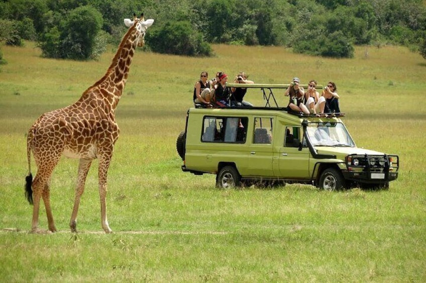 3 Days Masai Mara Camping Safari on 4X4 Land Cruiser