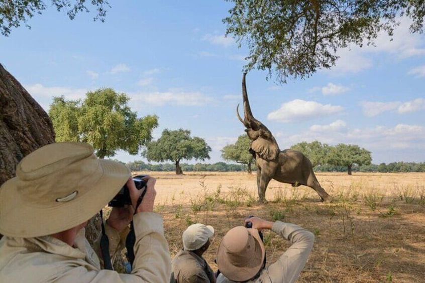 3 Days Masai Mara Camping Safari on 4X4 Land Cruiser