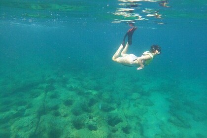 Public Guided Snorkel Tour of Fort Lauderdale Reefs
