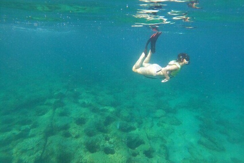 Public Guided Snorkel Tour of Fort Lauderdale Reefs