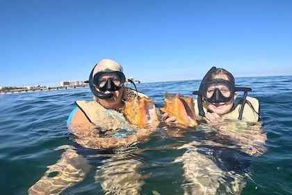 Offentlig guidet snorkeltur på Fort Lauderdale Reefs