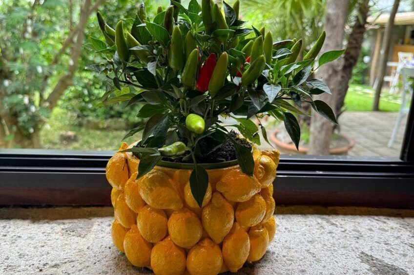 Sorrento's Tasty Garden
