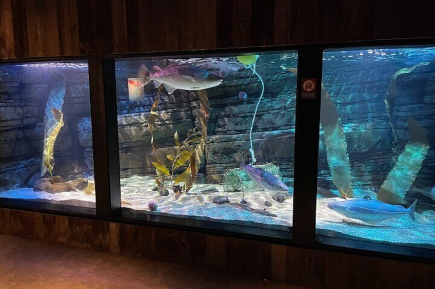 Beluga and Puffin Sanctuary Visitor Centre with Aquarium