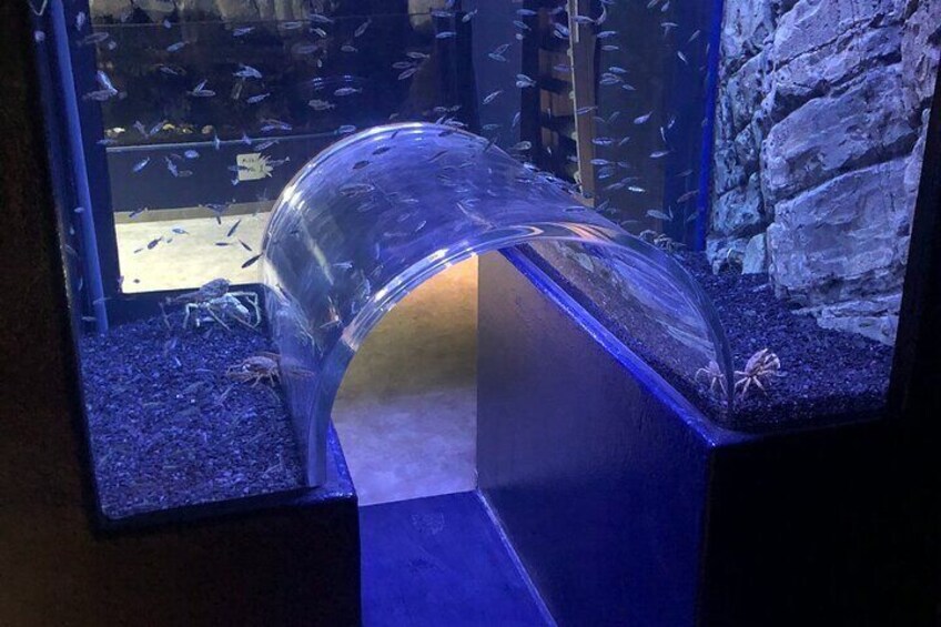 Beluga and Puffin Sanctuary Visitor Centre with Aquarium