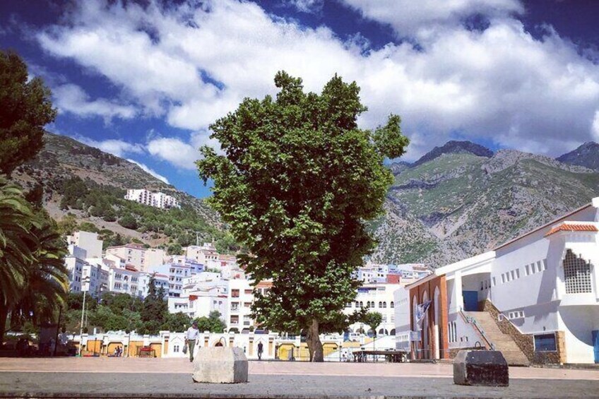 Tetouan & Chefchaouen Blue City private Day Trip from Tangier