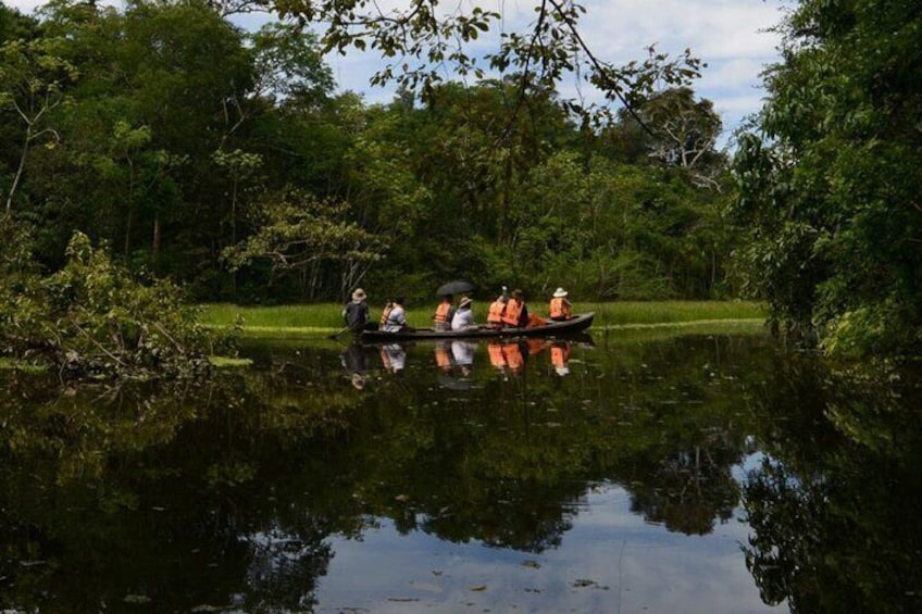 Remote Jungle in the Amazon