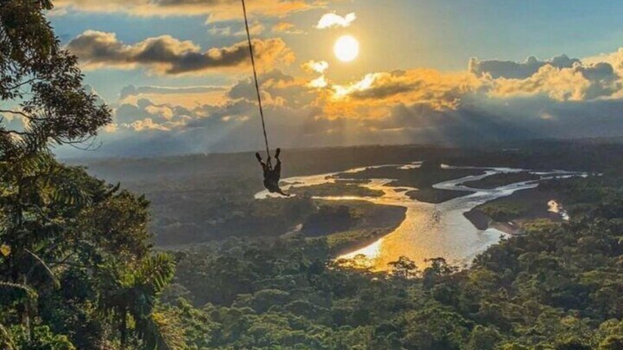 Full Day to Puyopúngo Excursion in the Amazon