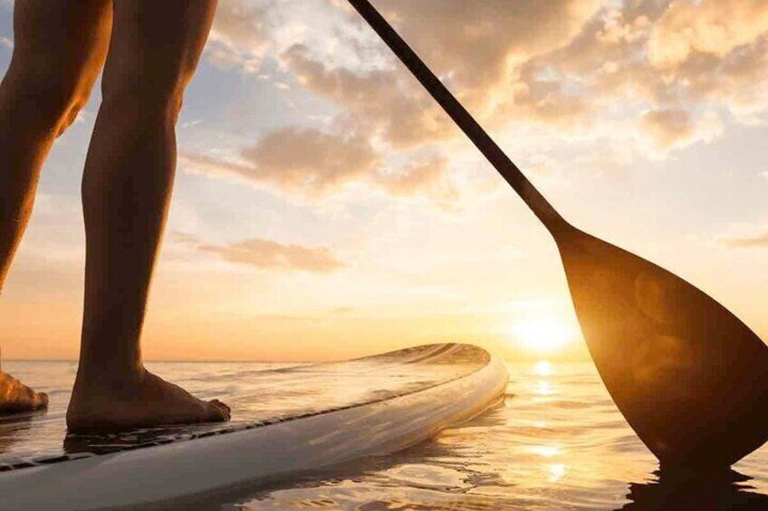 A unique perspective of the South Coast from a Stand Up Paddleboard. 